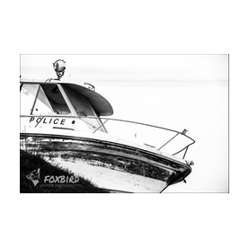 Kingfisher, birds, mono, black and white, police, ship, 